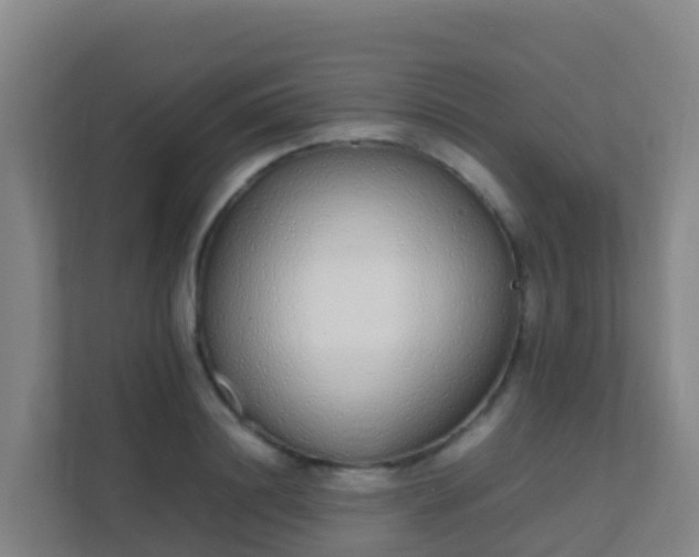 X0000111650844200907241130