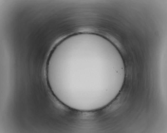 X0000111650848200907241130