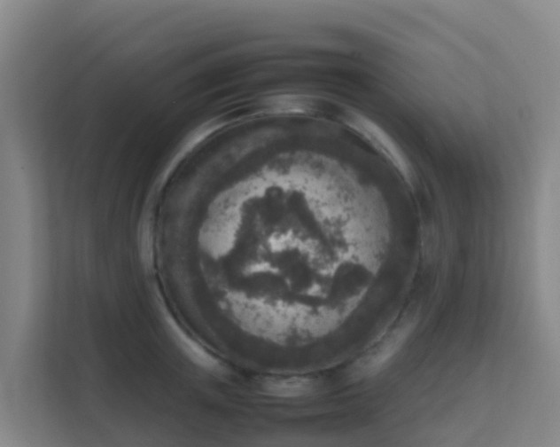 X0000111650851200907241130