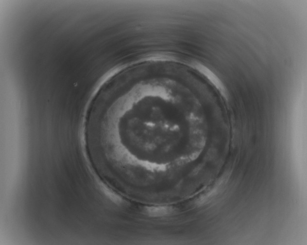 X0000111650853200907241130