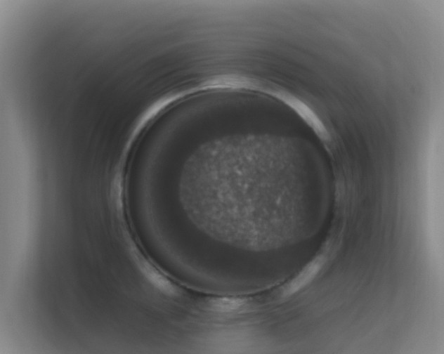 X0000111650854200907241130