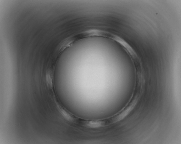 X0000111650857200907241130