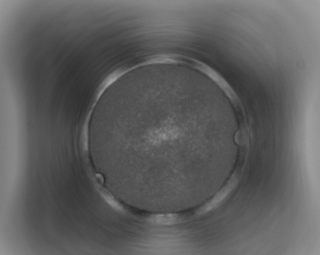 X0000111650858200907241130