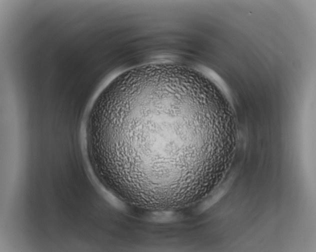 X0000111650859200907241130