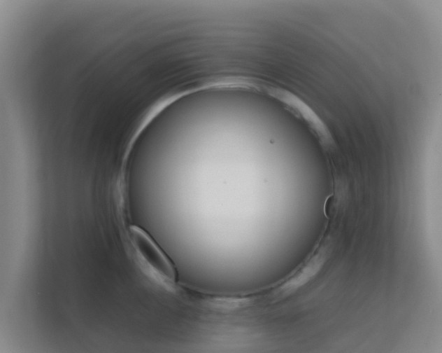 X0000111650860200907241130