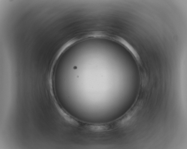 X0000111650861200907241130