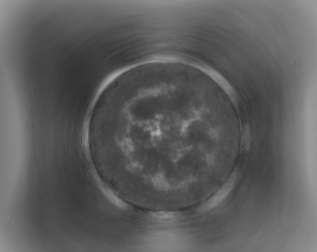 X0000111650862200907241130