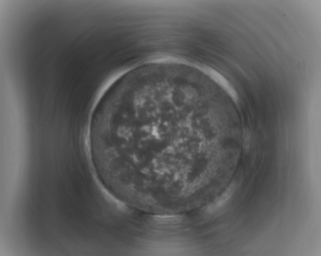 X0000111650863200907241130