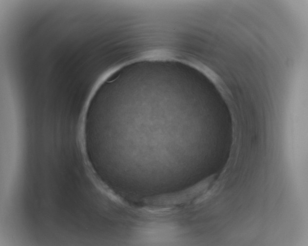 X0000111650864200907241130