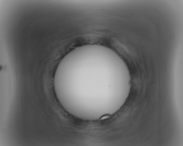 X0000111650865200907241129