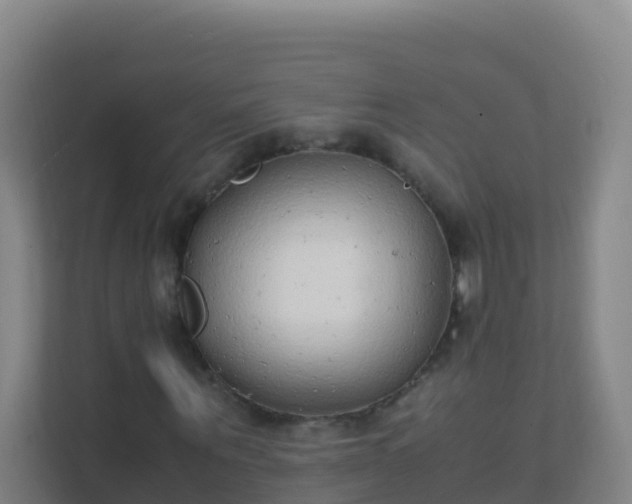 X0000111650867200907241129