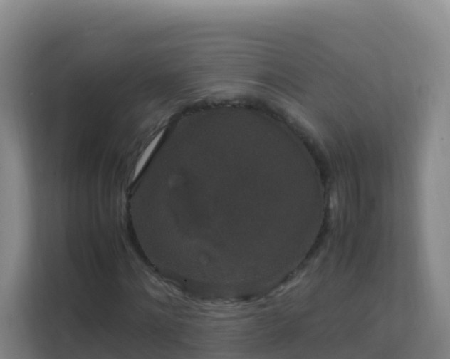X0000111650868200907241129