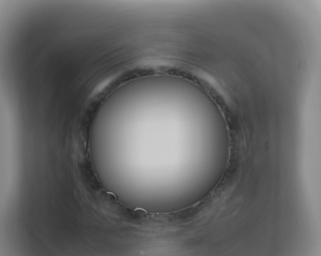 X0000111650871200907241129