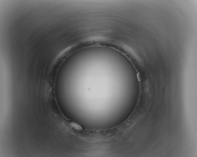 X0000111650872200907241129