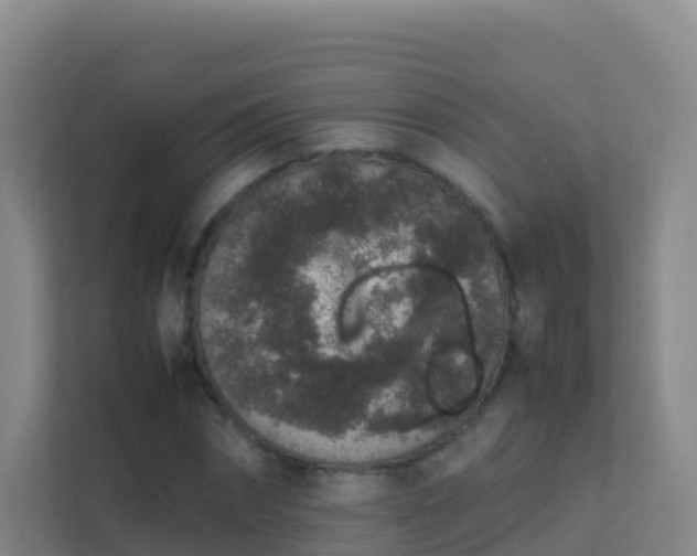 X0000111650874200907241129