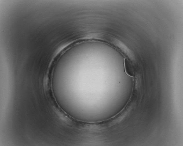 X0000111650876200907241129