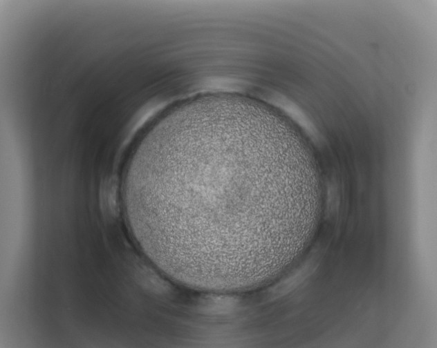 X0000111650878200907241129