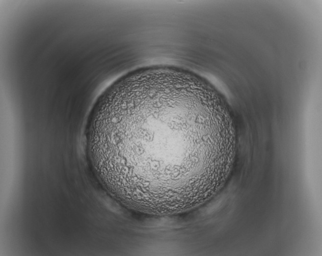 X0000111650879200907241129