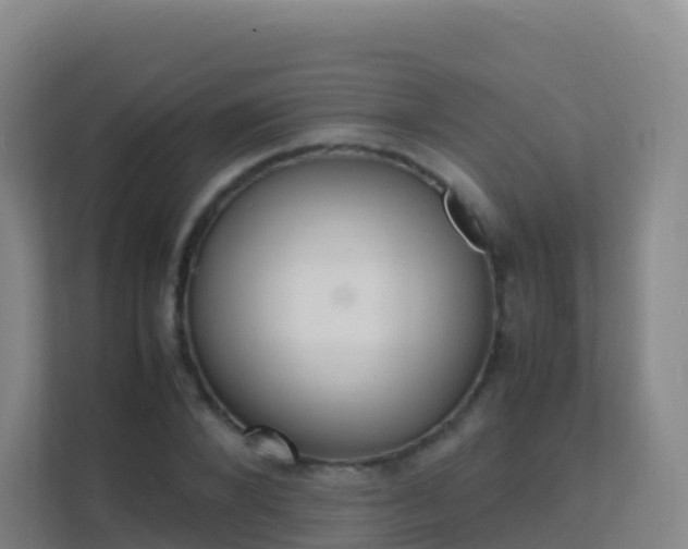 X0000111650880200907241129