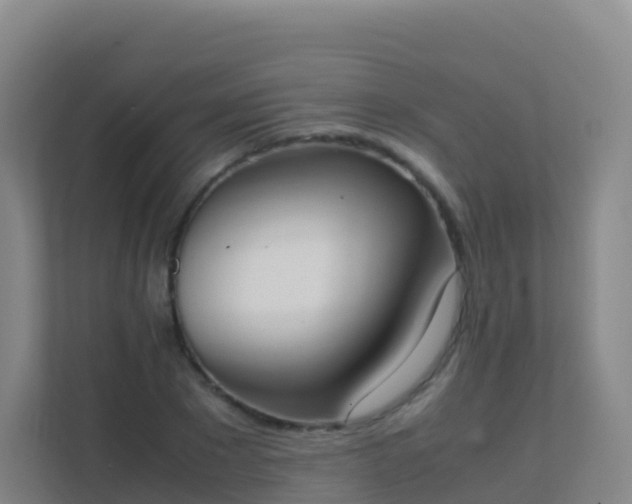 X0000111650881200907241129