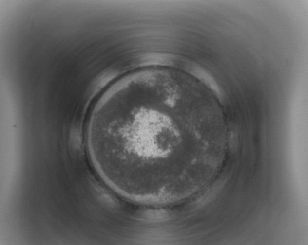X0000111650882200907241129