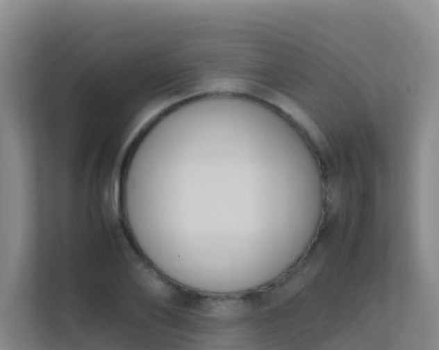 X0000111650886200907241129