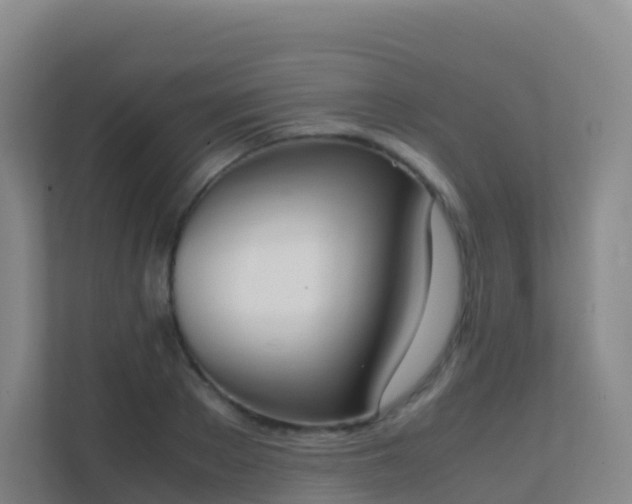 X0000111650889200907241129