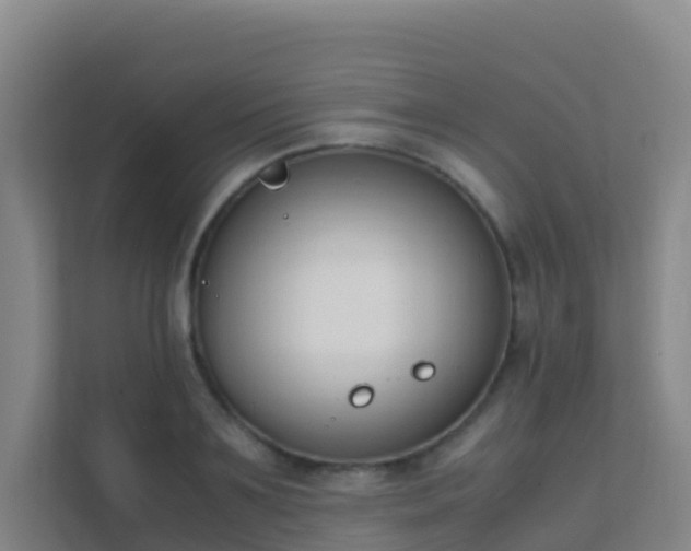 X0000111650891200907241129