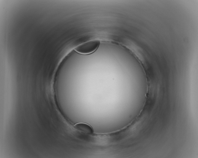 X0000111650893200907241129
