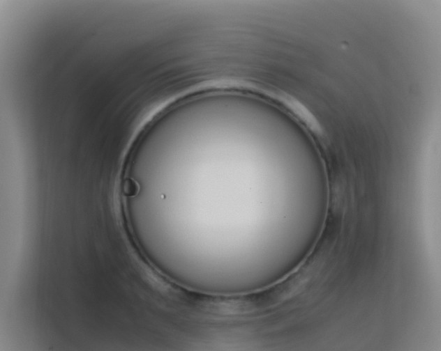 X0000111650895200907241129