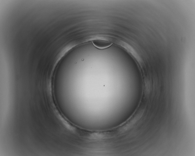 X0000111650898200907241129