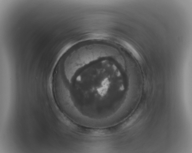 X0000111650899200907241129