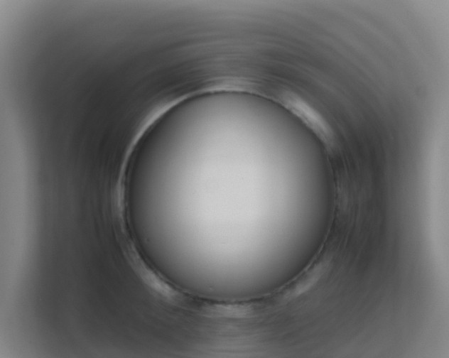X0000111650900200907241129