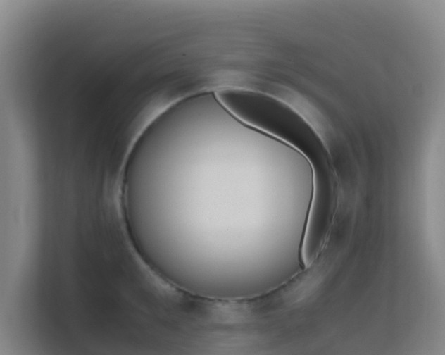 X0000111650901200907241129