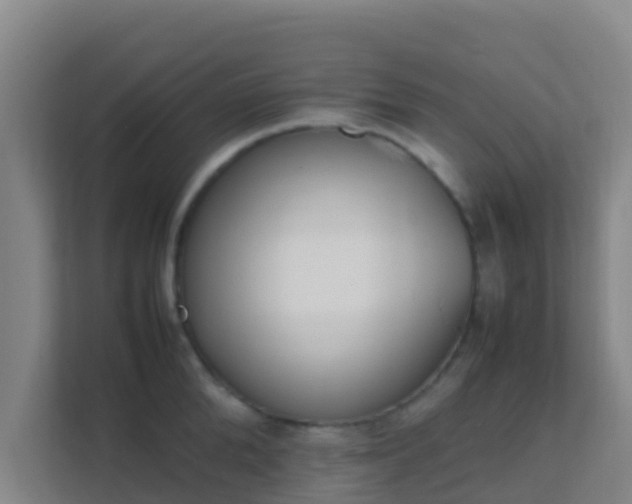 X0000111650904200907241129