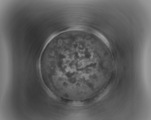 X0000111650907200907241129