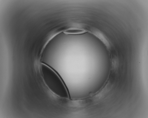 X0000111650908200907241129