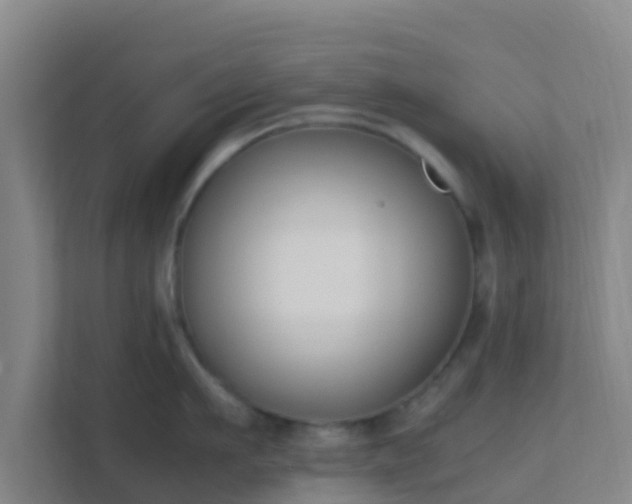 X0000111650911200907241129