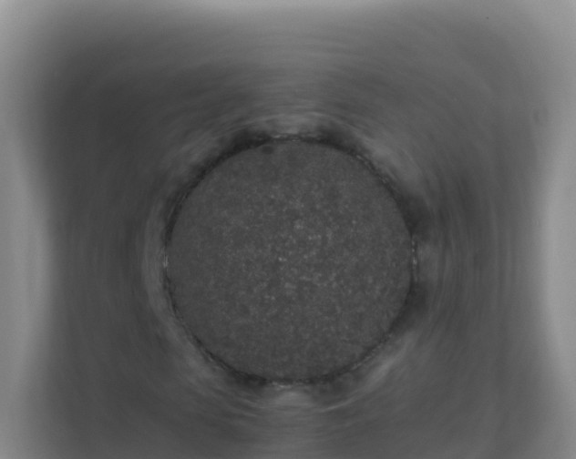 X0000111650913200907241128
