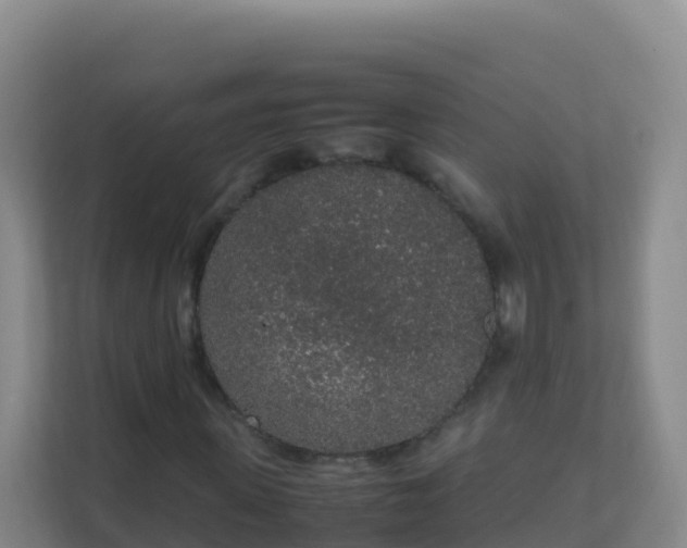 X0000111650915200907241128