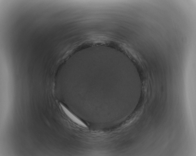 X0000111650916200907241128