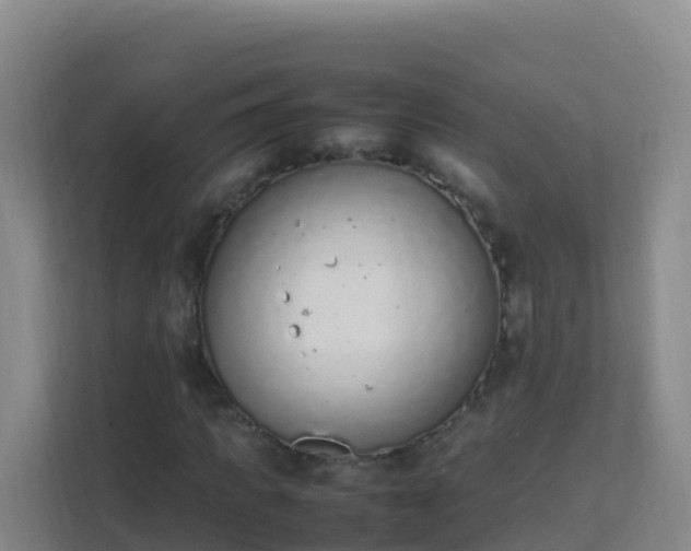 X0000111650917200907241128