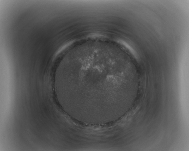 X0000111650919200907241128