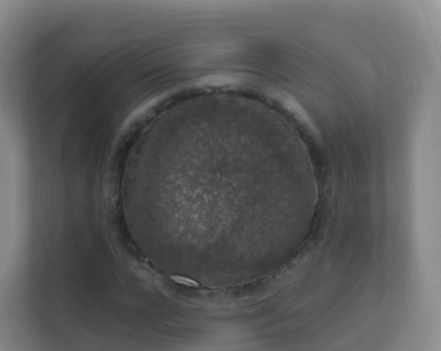 X0000111650920200907241128
