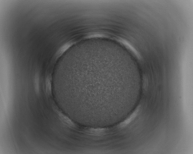 X0000111650921200907241128