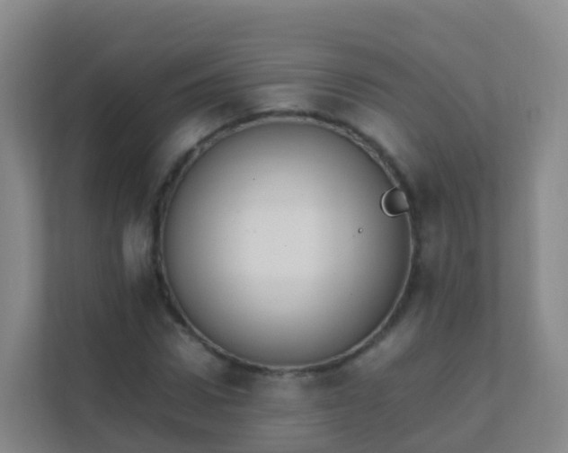 X0000111650922200907241128