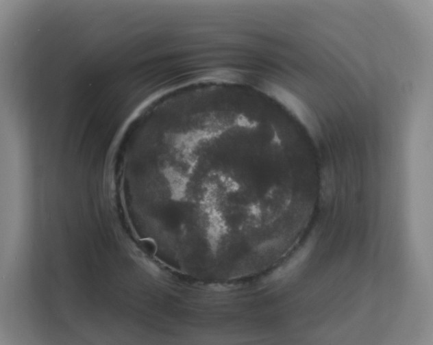 X0000111650923200907241128