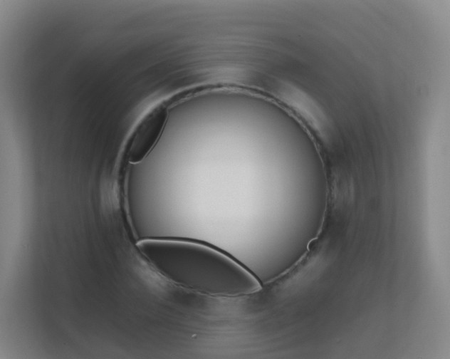 X0000111650924200907241128