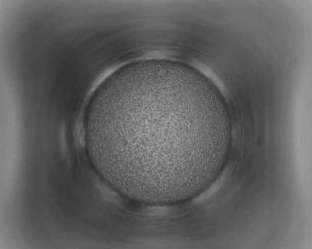 X0000111650925200907241128