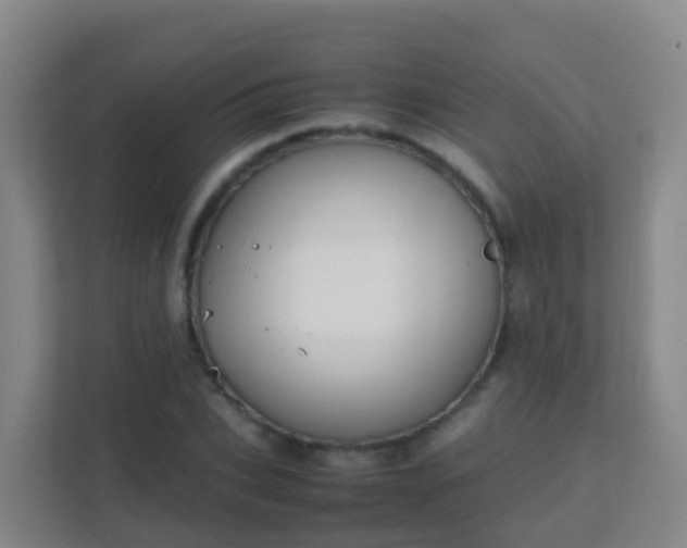 X0000111650927200907241128